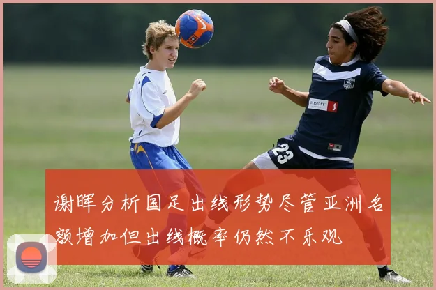 谢晖分析国足出线形势尽管亚洲名额增加但出线概率仍然不乐观